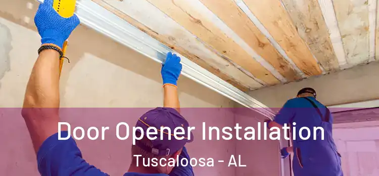  Door Opener Installation Tuscaloosa - AL