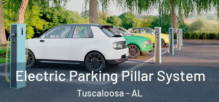 Electric Parking Pillar System Tuscaloosa - AL
