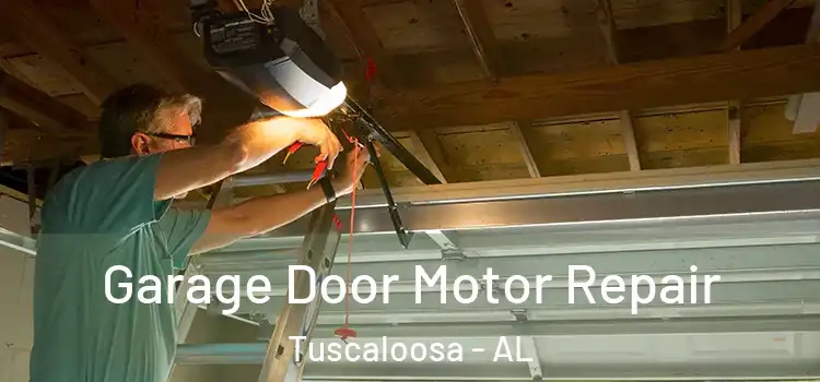  Garage Door Motor Repair Tuscaloosa - AL