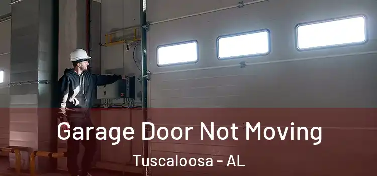  Garage Door Not Moving Tuscaloosa - AL