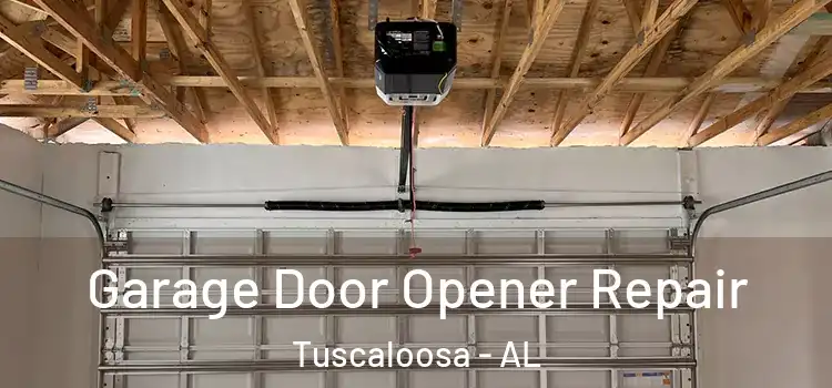  Garage Door Opener Repair Tuscaloosa - AL