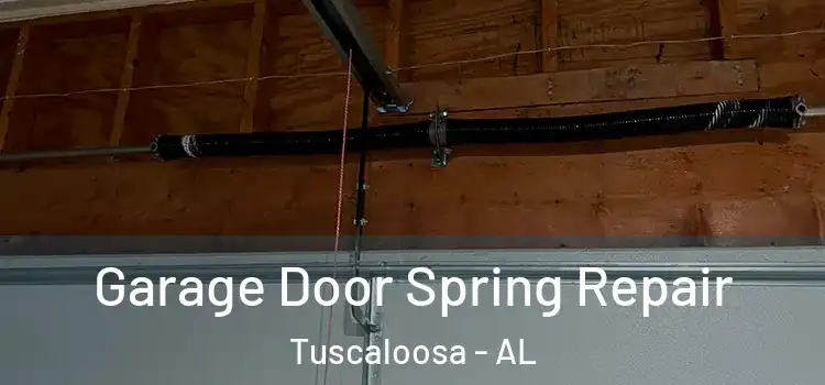  Garage Door Spring Repair Tuscaloosa - AL