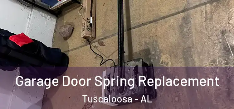 Garage Door Spring Replacement Tuscaloosa - AL