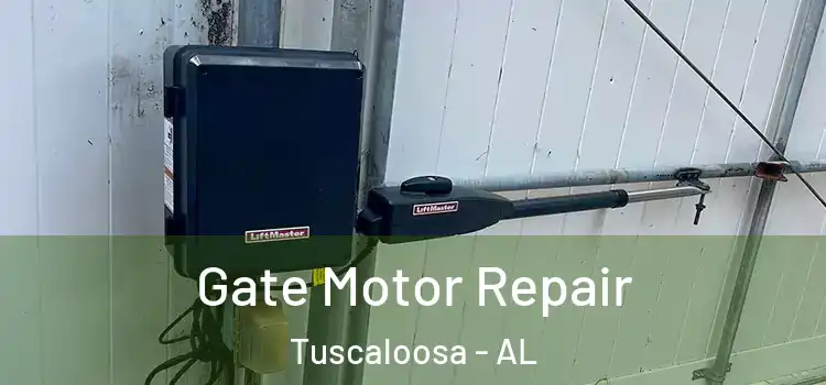  Gate Motor Repair Tuscaloosa - AL