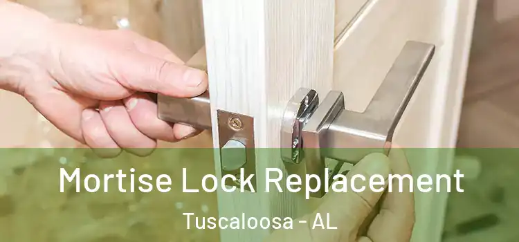 Mortise Lock Replacement Tuscaloosa - AL