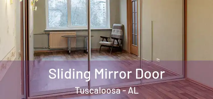  Sliding Mirror Door Tuscaloosa - AL